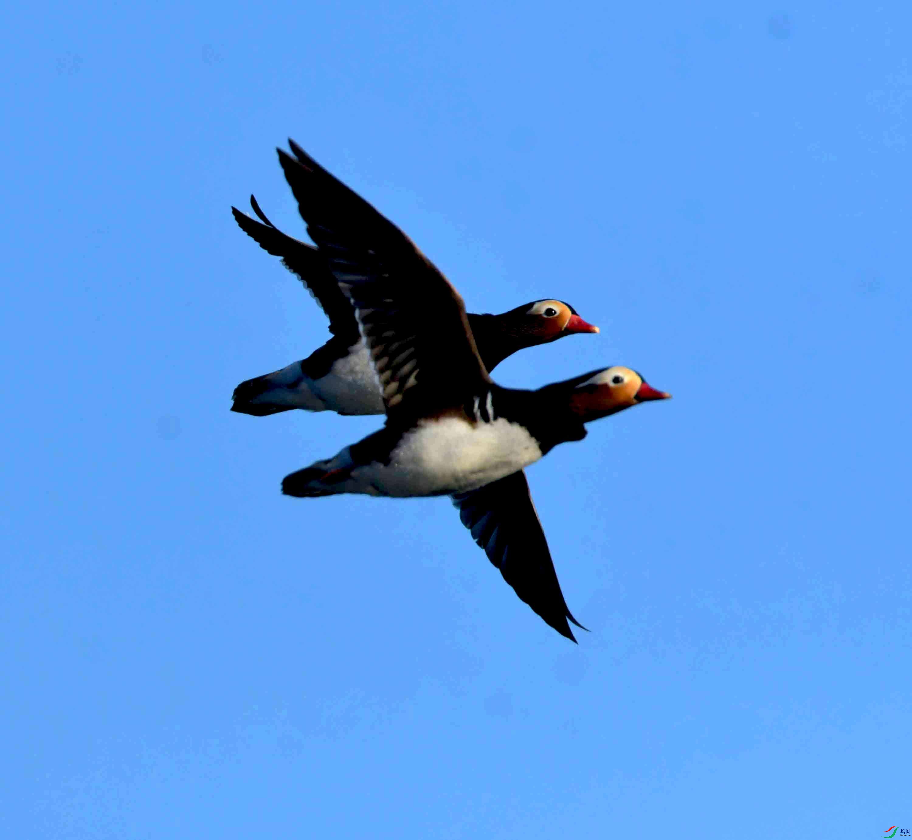 DSC_8809.JPG