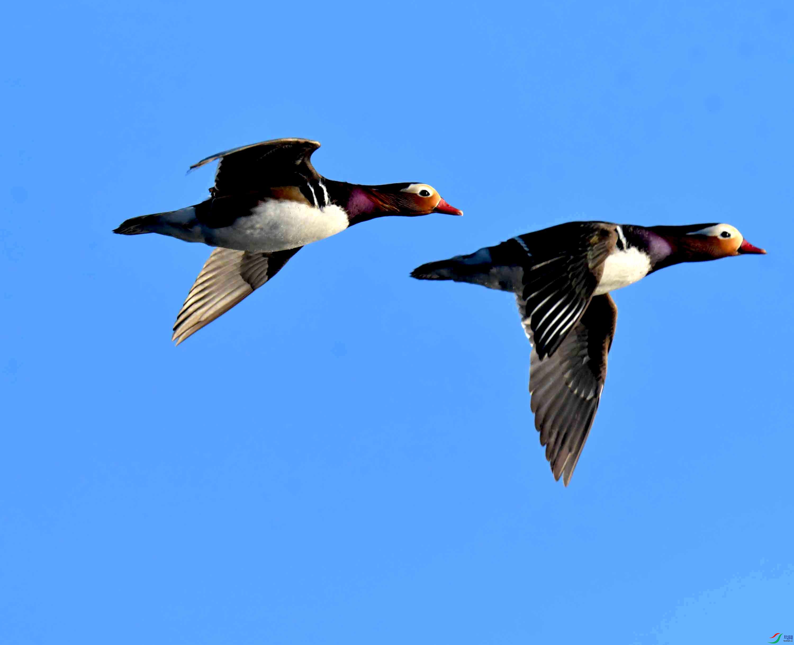 DSC_8810.JPG