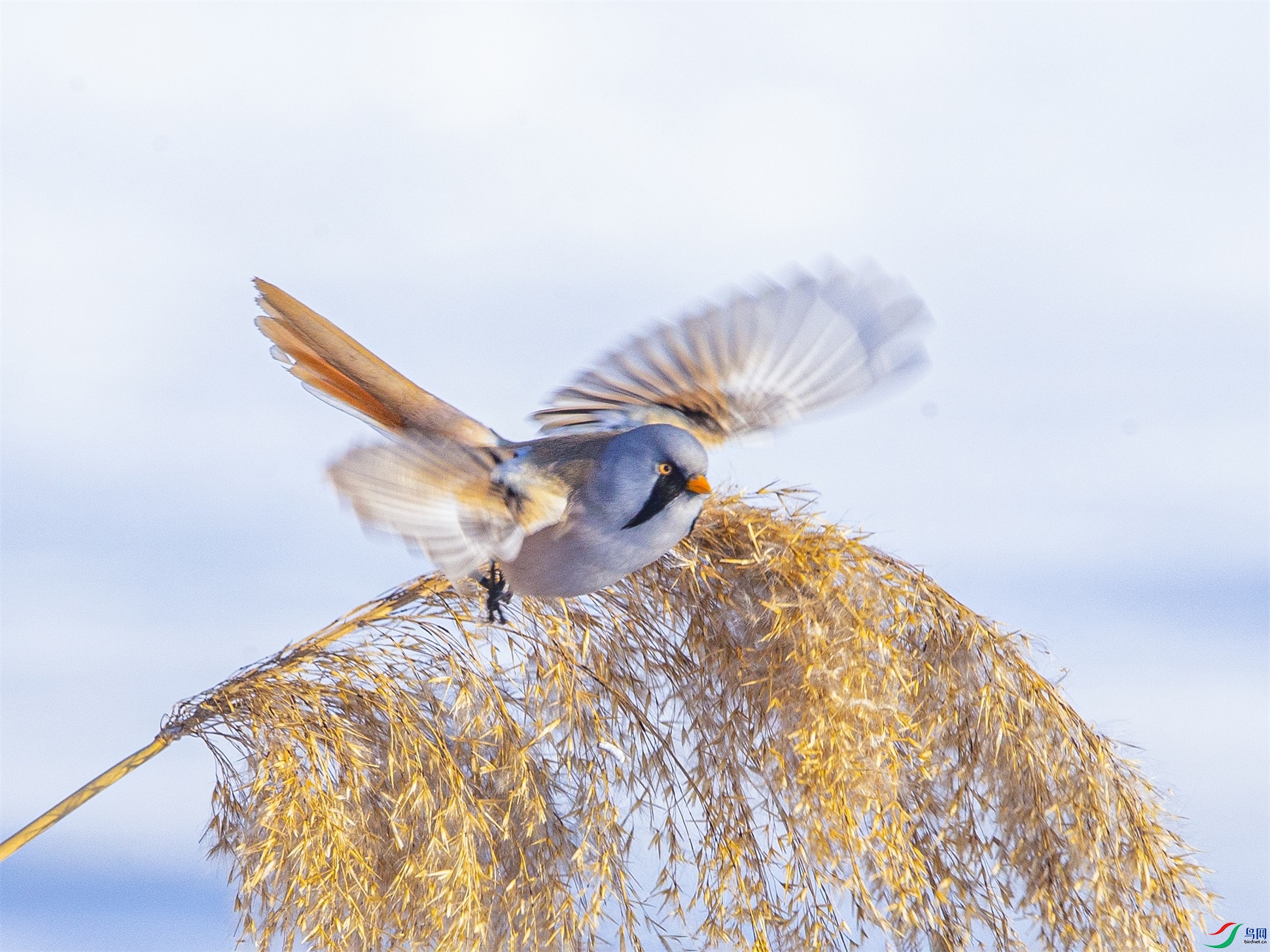 DK7T2539 ����1.jpg