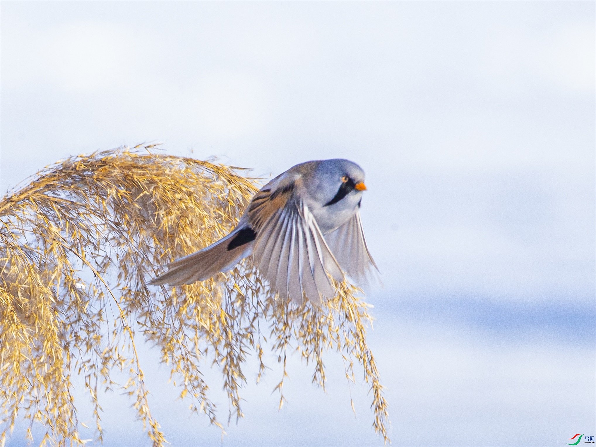 DK7T2540 ����1.jpg