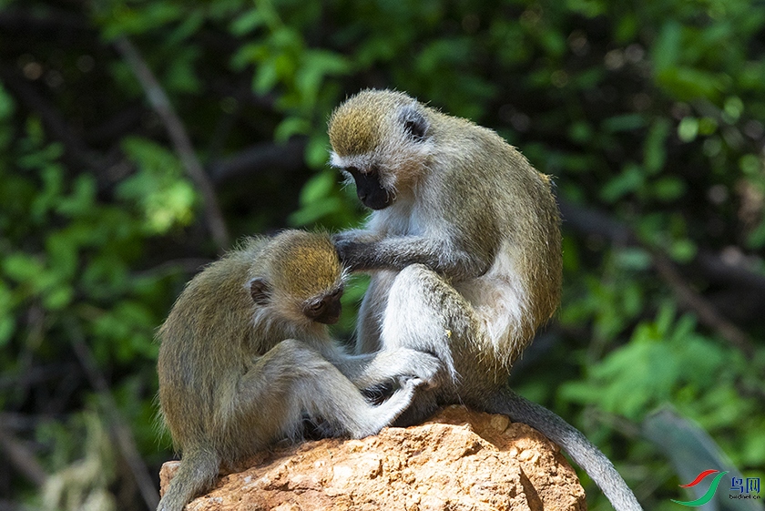 ���޺����� (2).jpg