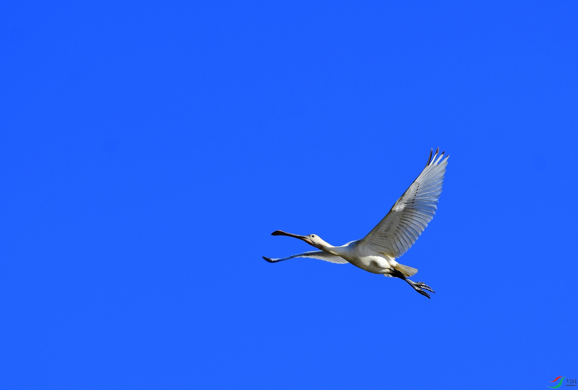 _D5D0468.jpg