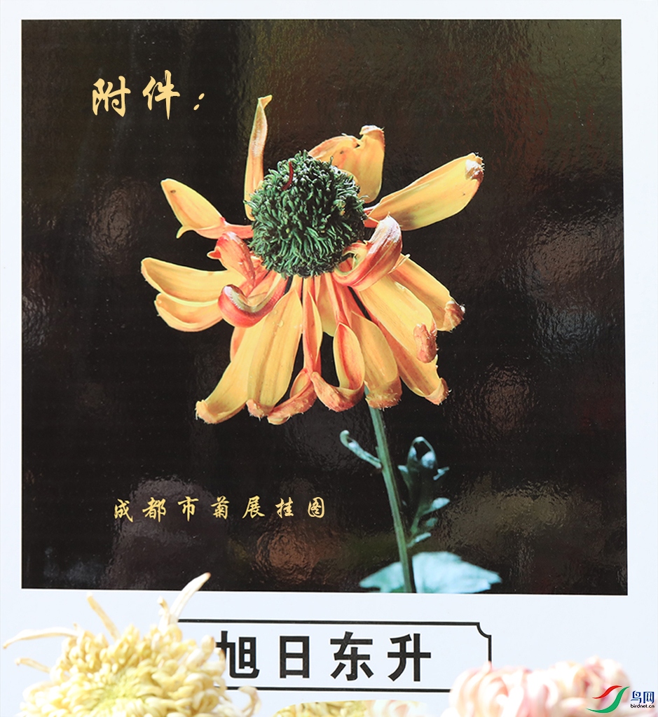 00000583A0150 ���ն��� ����2 ����.jpg