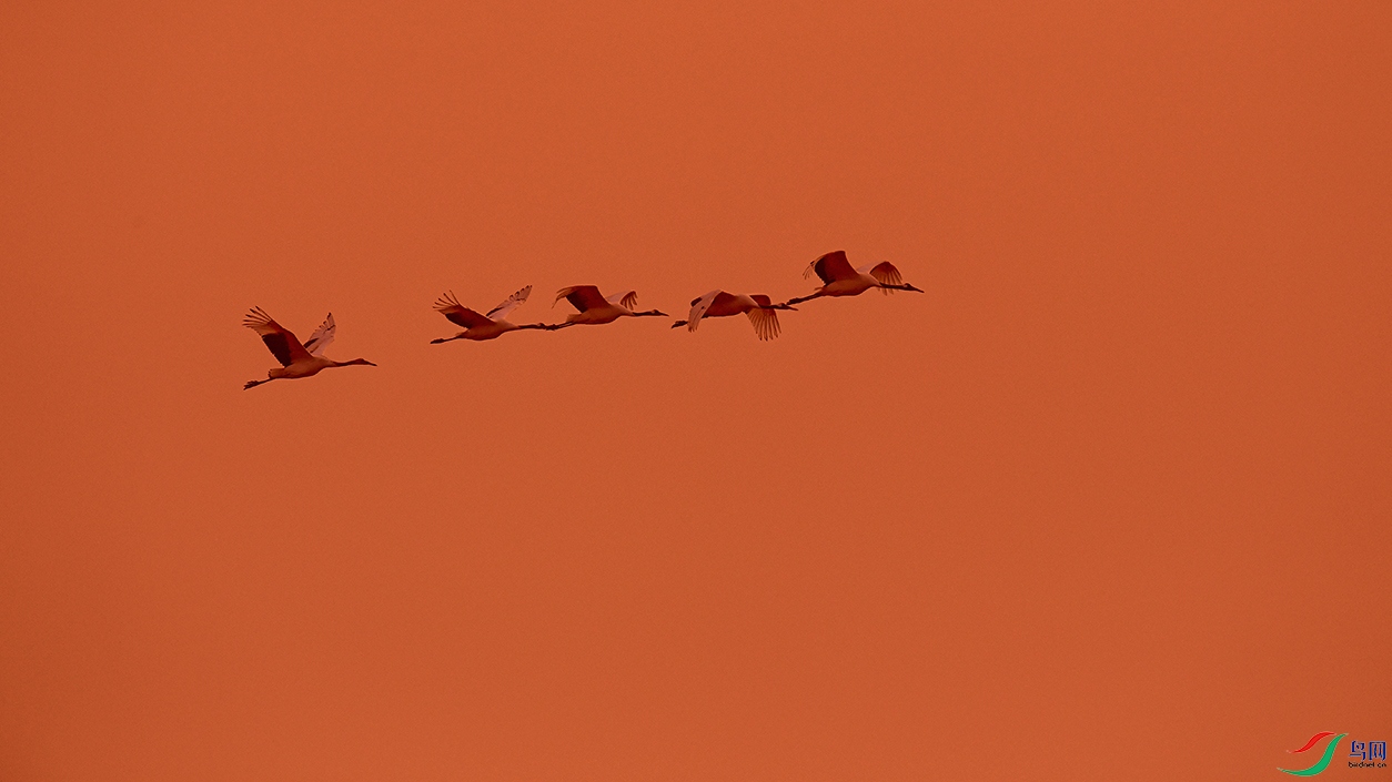DSC_4778_DxOa.jpg
