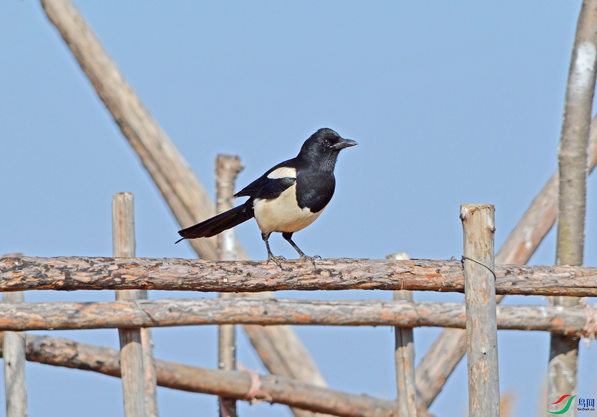 DSC_0171.jpg