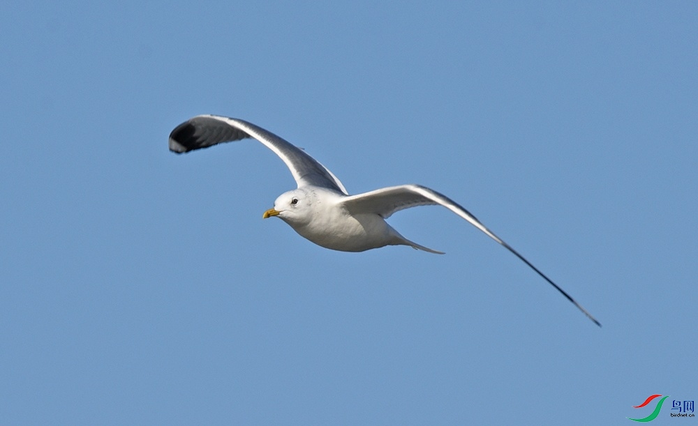 DSC_3831.jpg