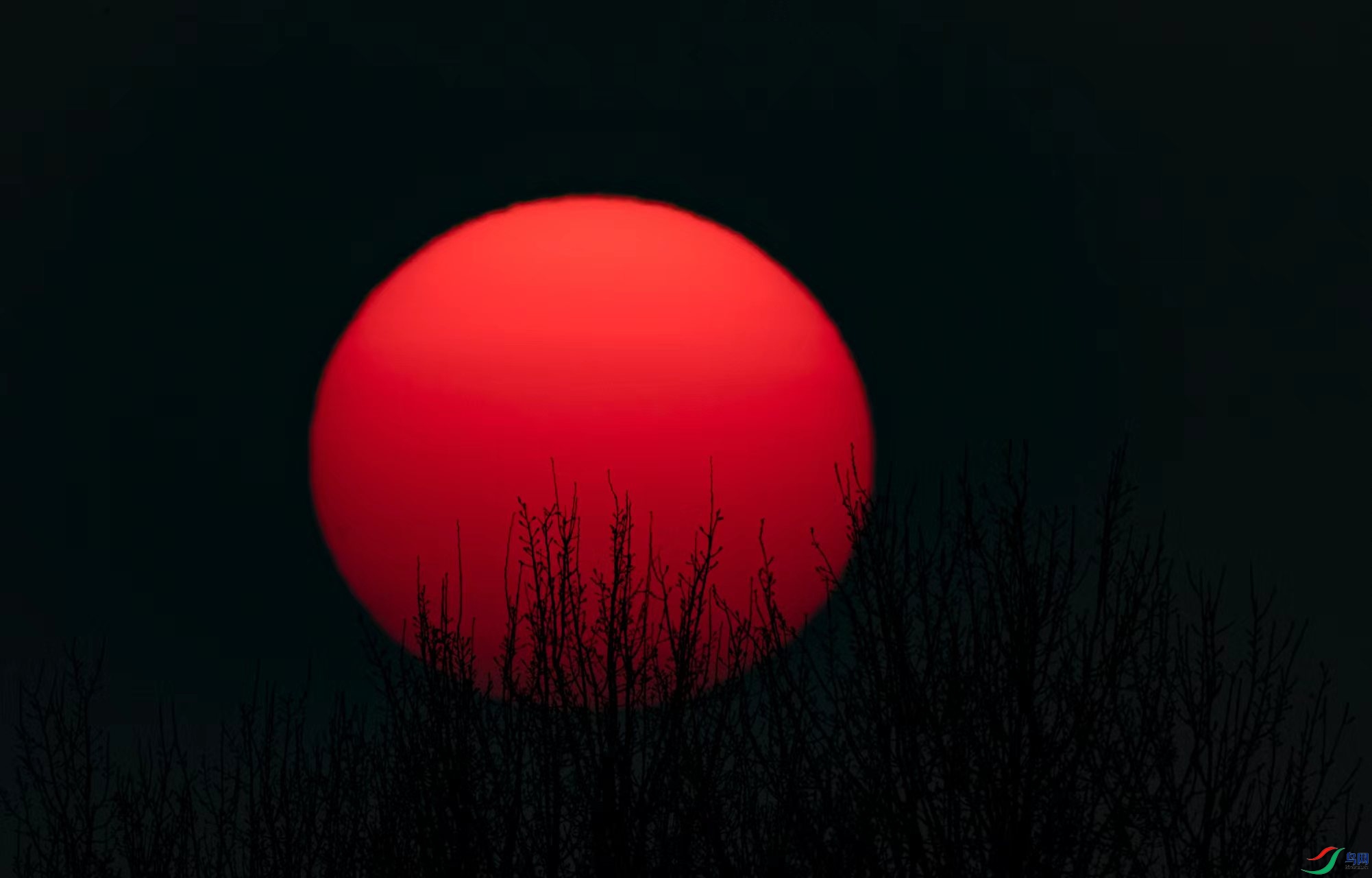 ΢��ͼƬ_20230101170103.jpg