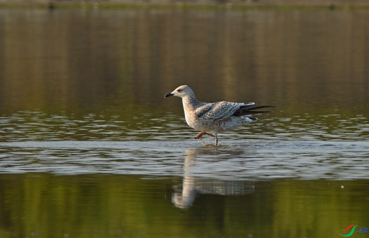 DSC_0283f.jpg
