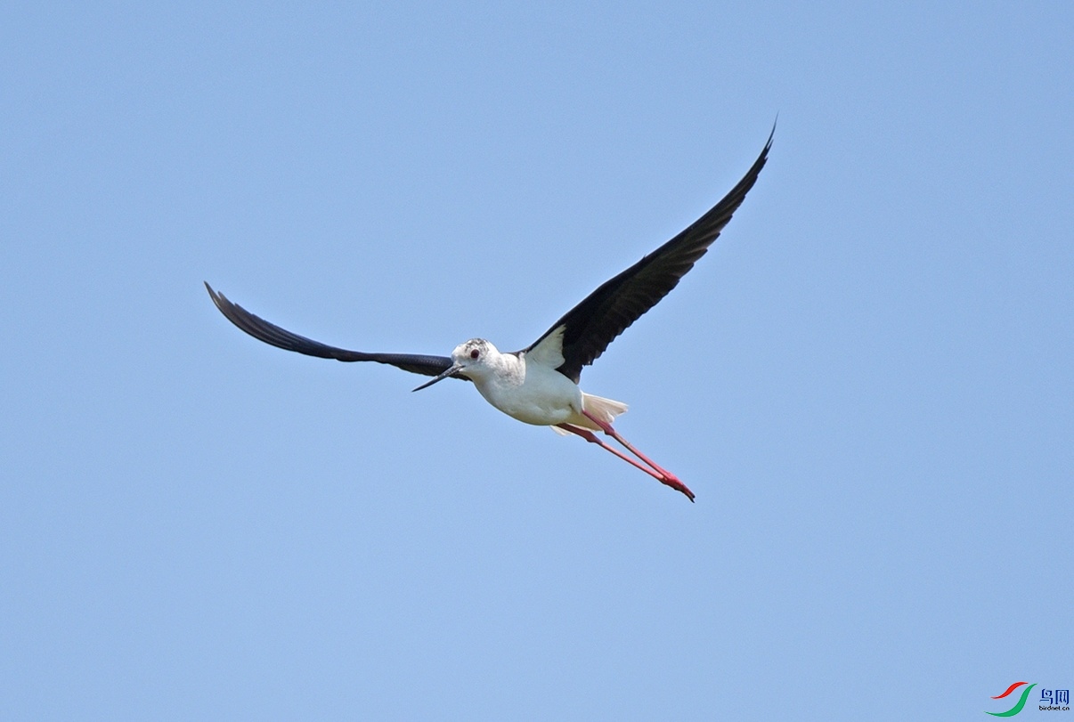 DSC_1244.jpg