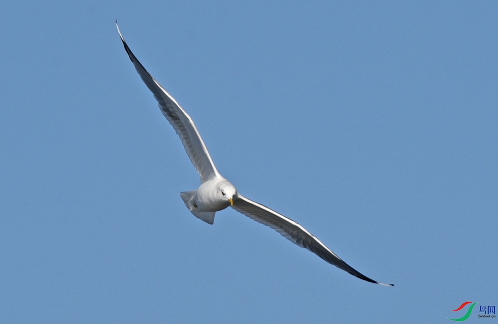 DSC_3825.jpg