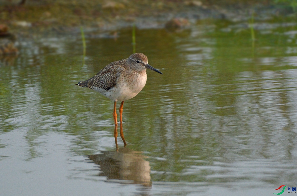 DSC_000522.jpg