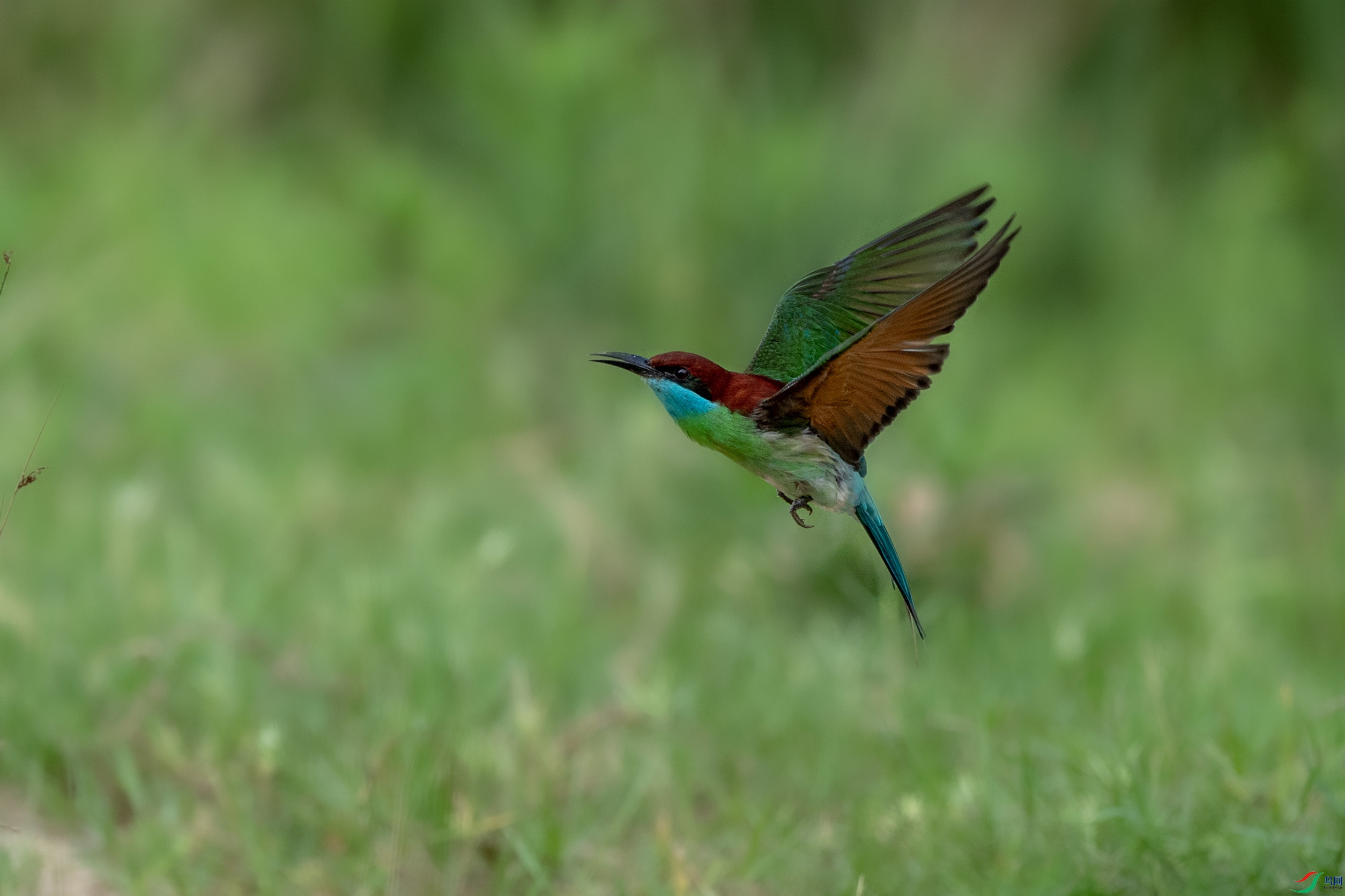 AAE_3024.jpg