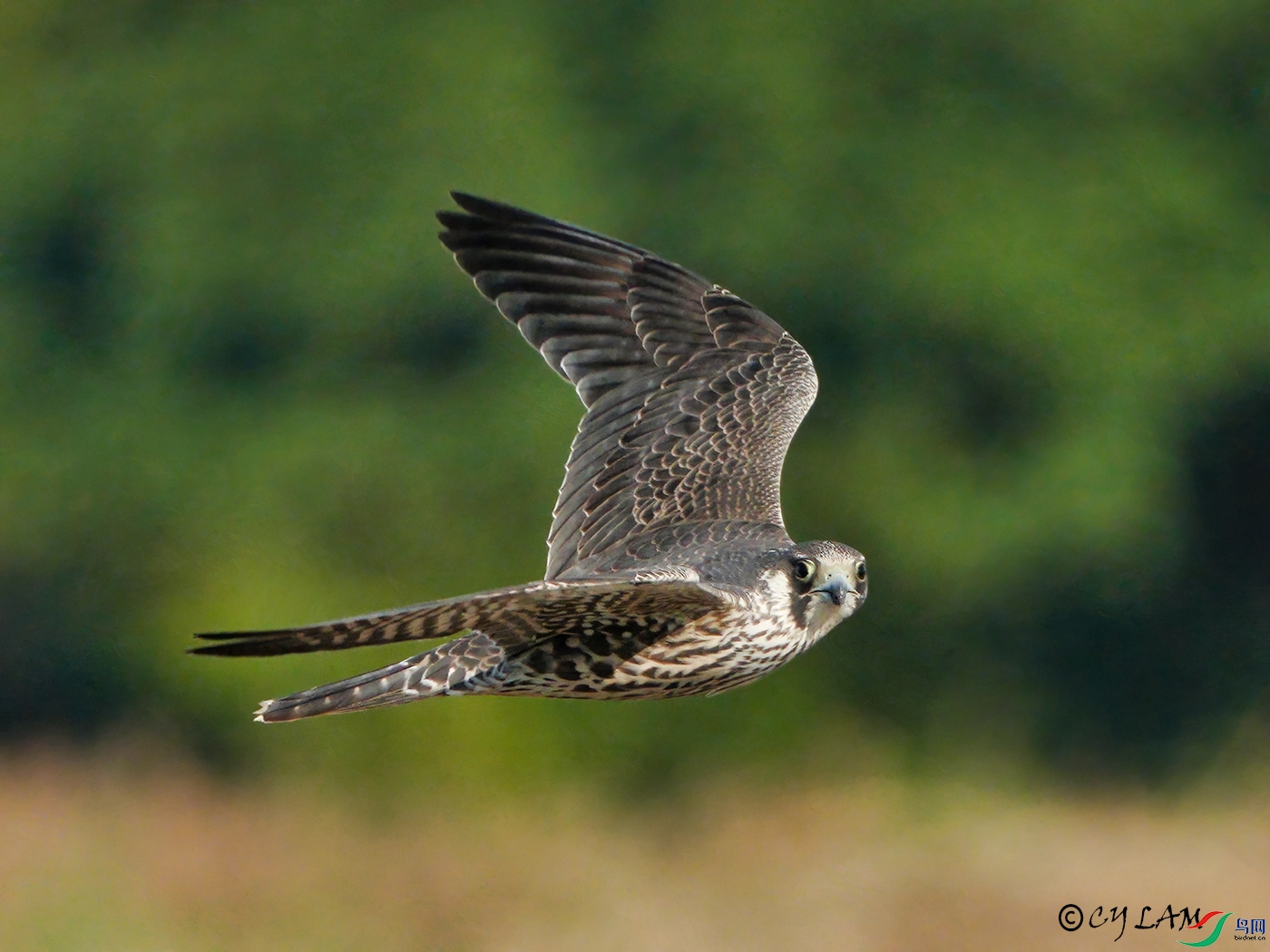 20221224-086e re.jpg