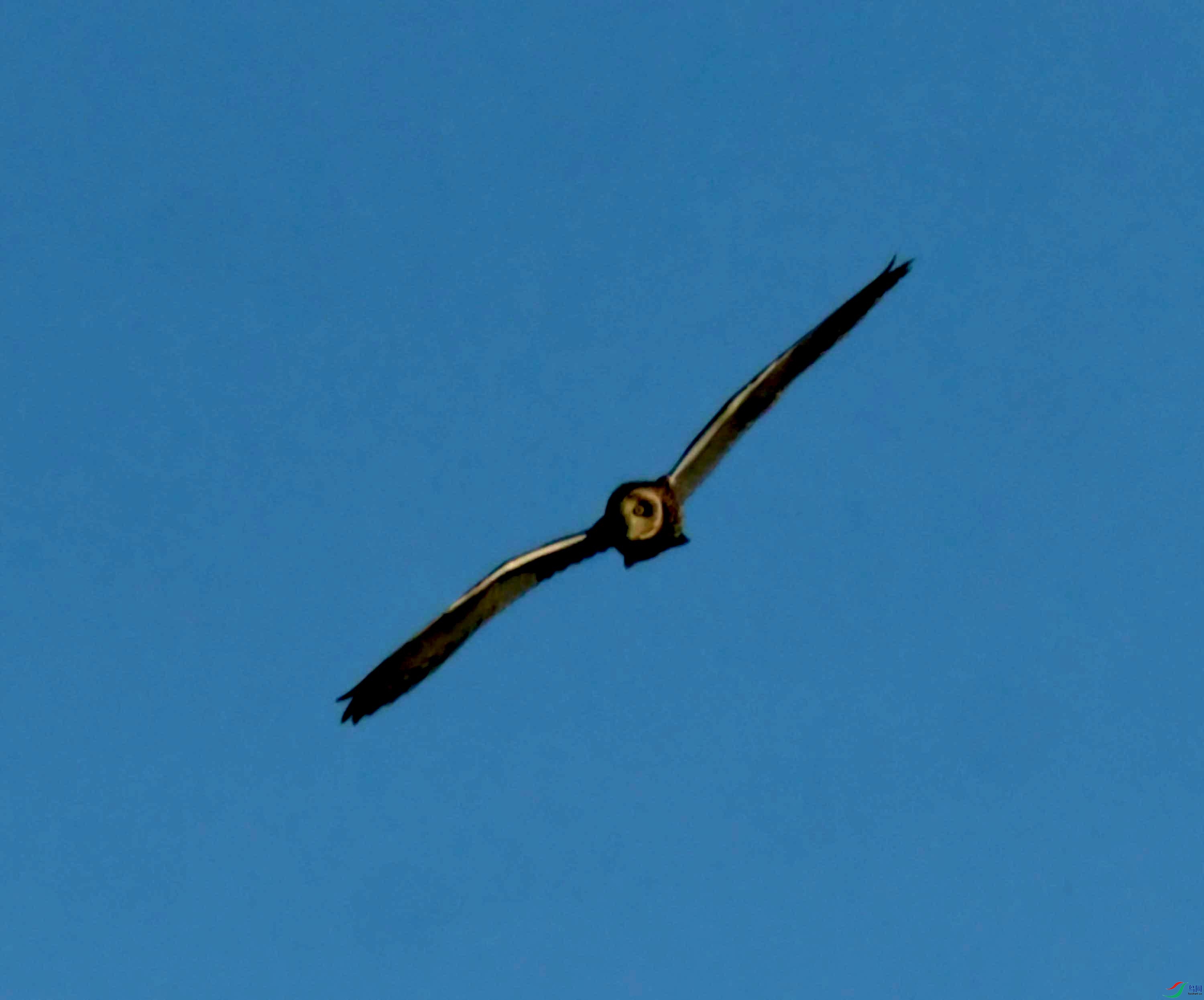 DSC_8978.JPG