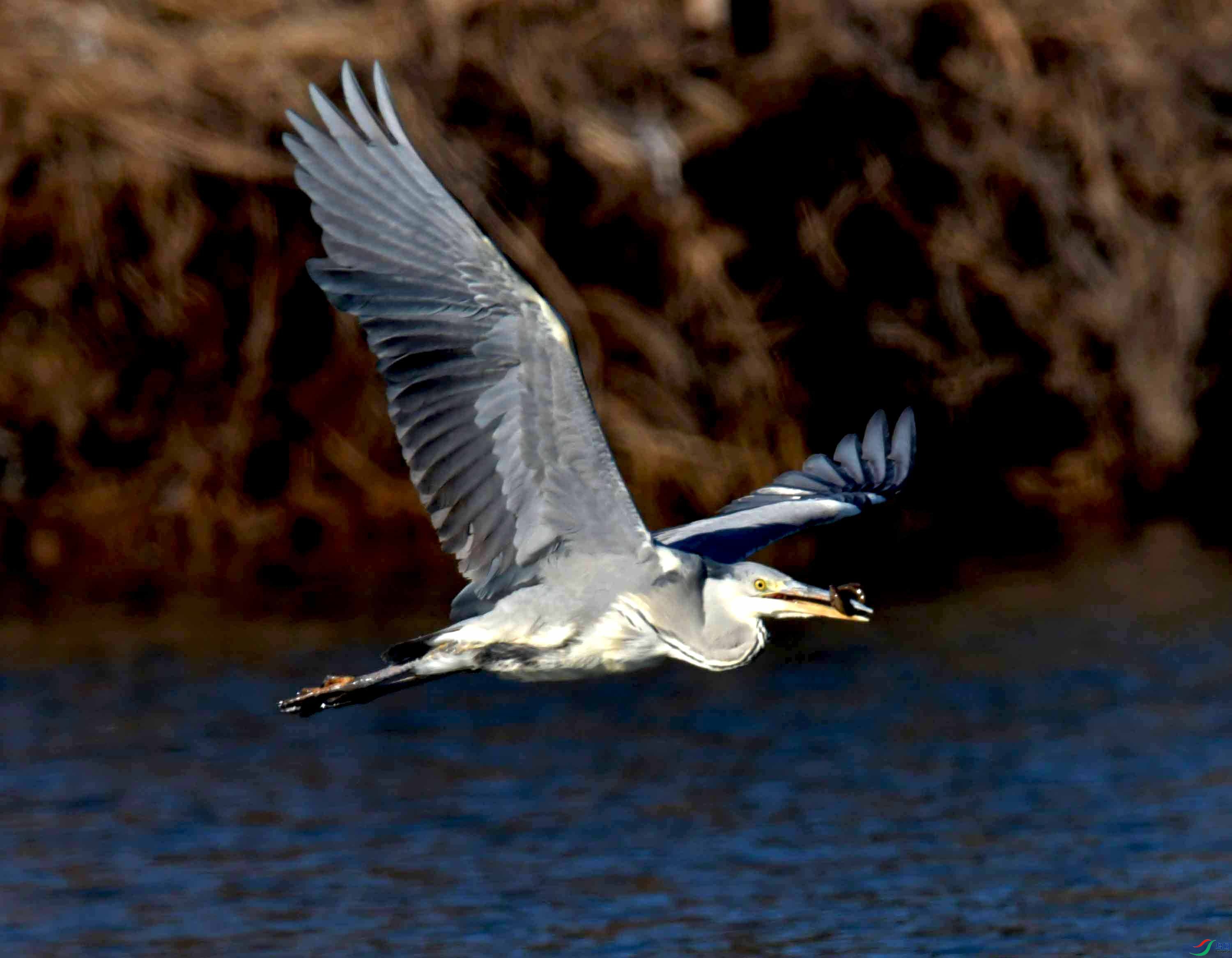 DSC_0659.JPG