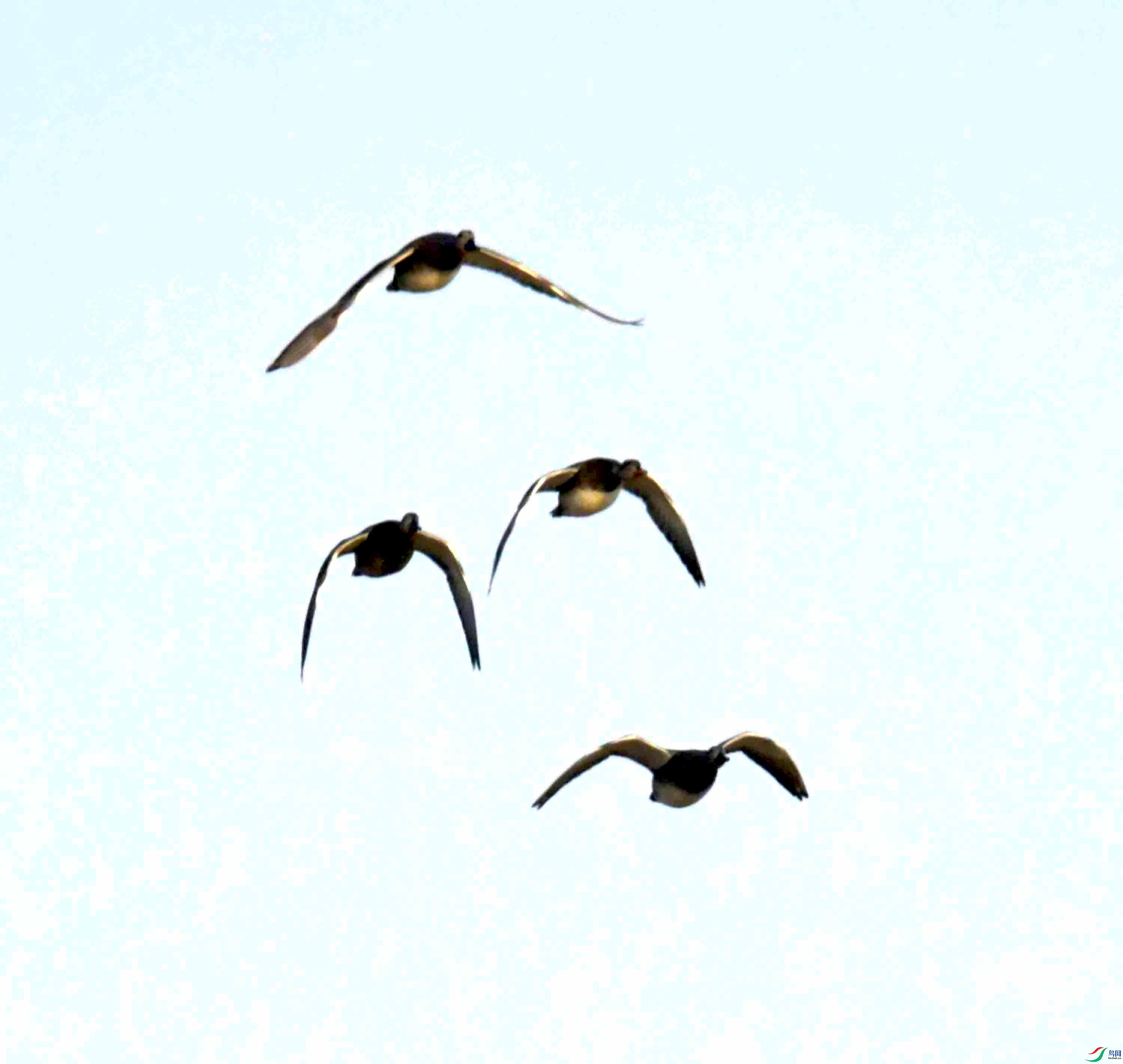 DSC_0879.JPG