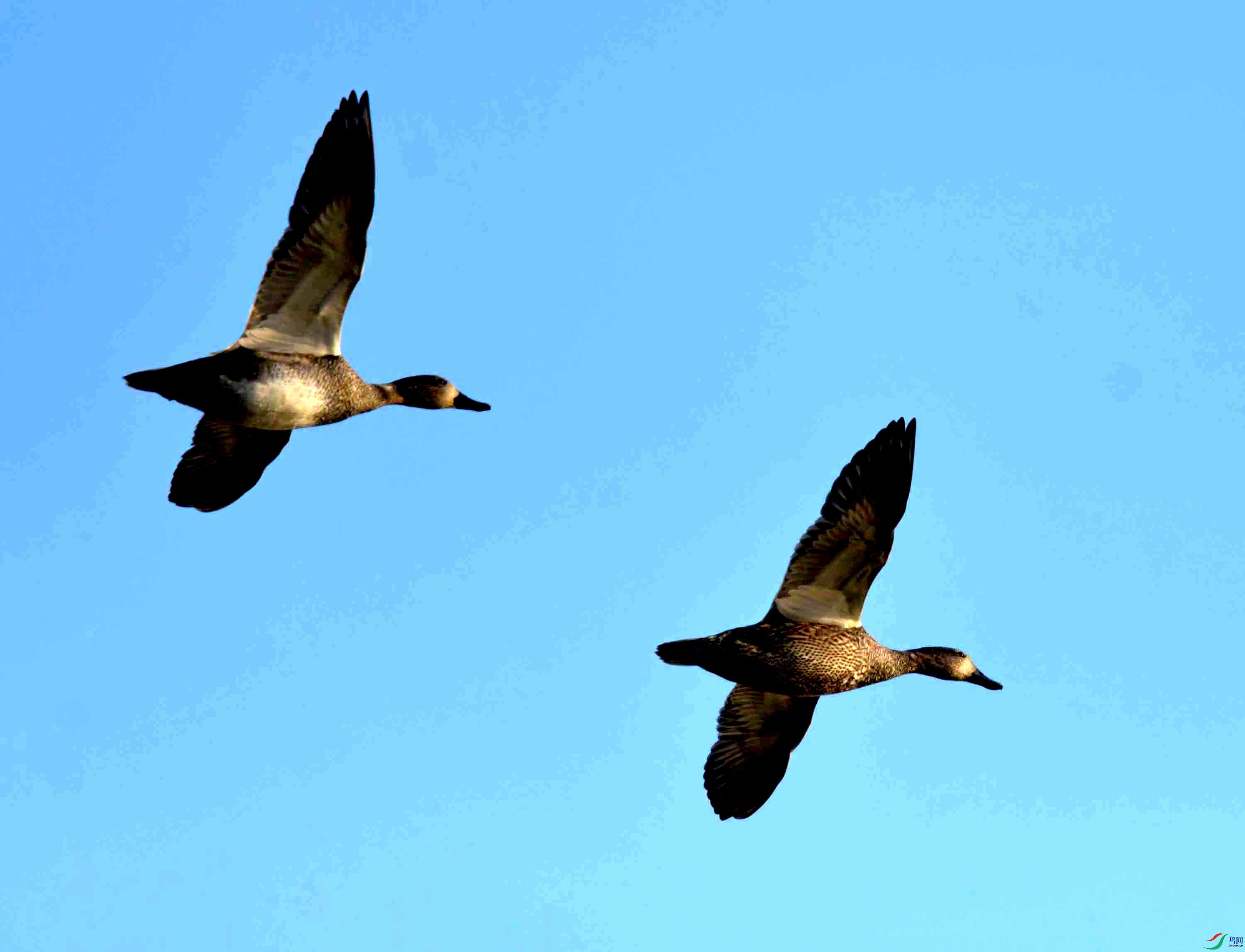 DSC_0895.JPG