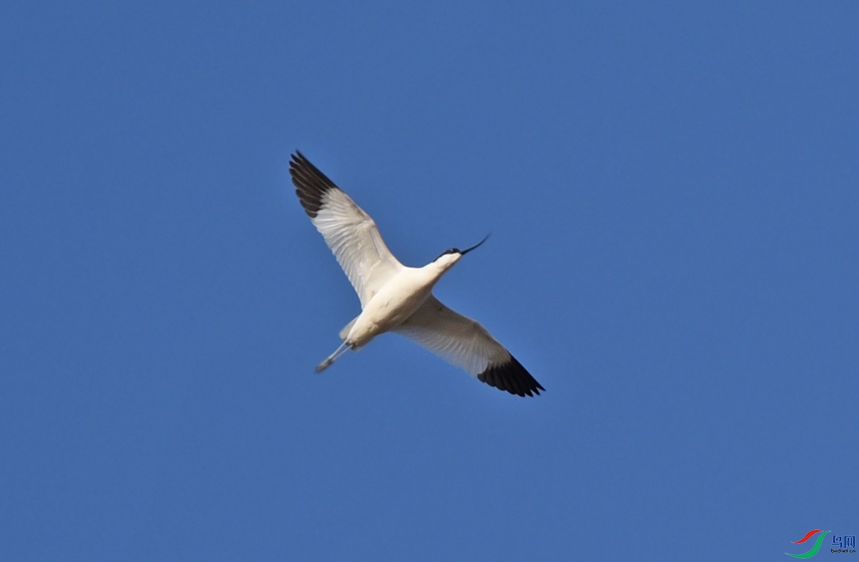 DSC_3307.jpg
