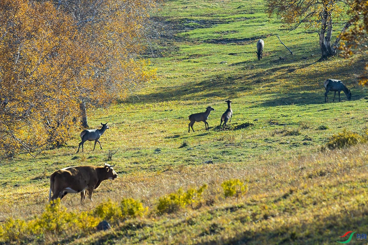 _DSC0723.jpg
