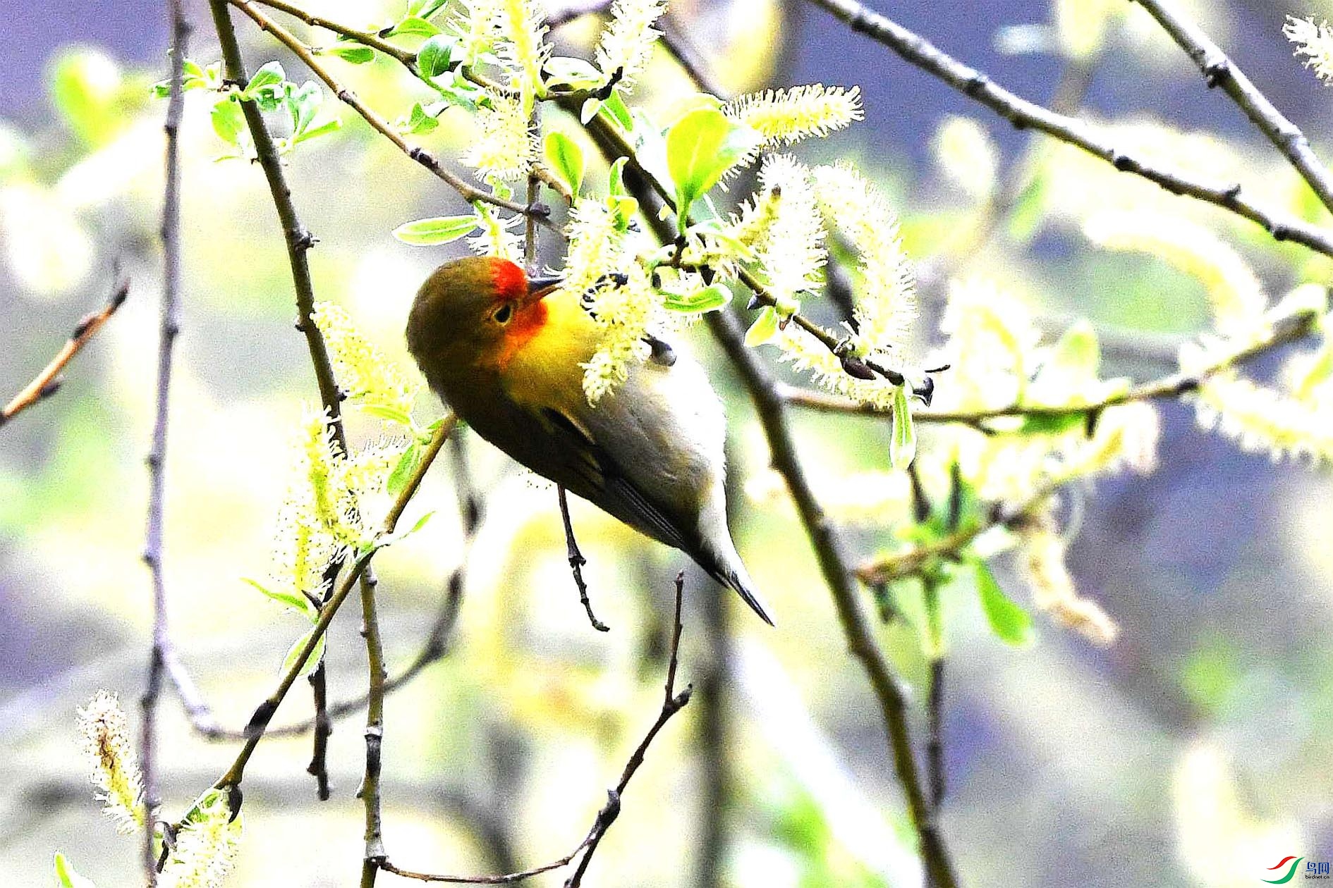 DSC_3256_����.jpg