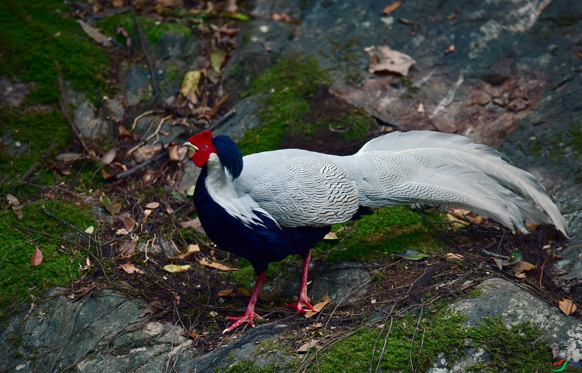 D8I_3006.jpg