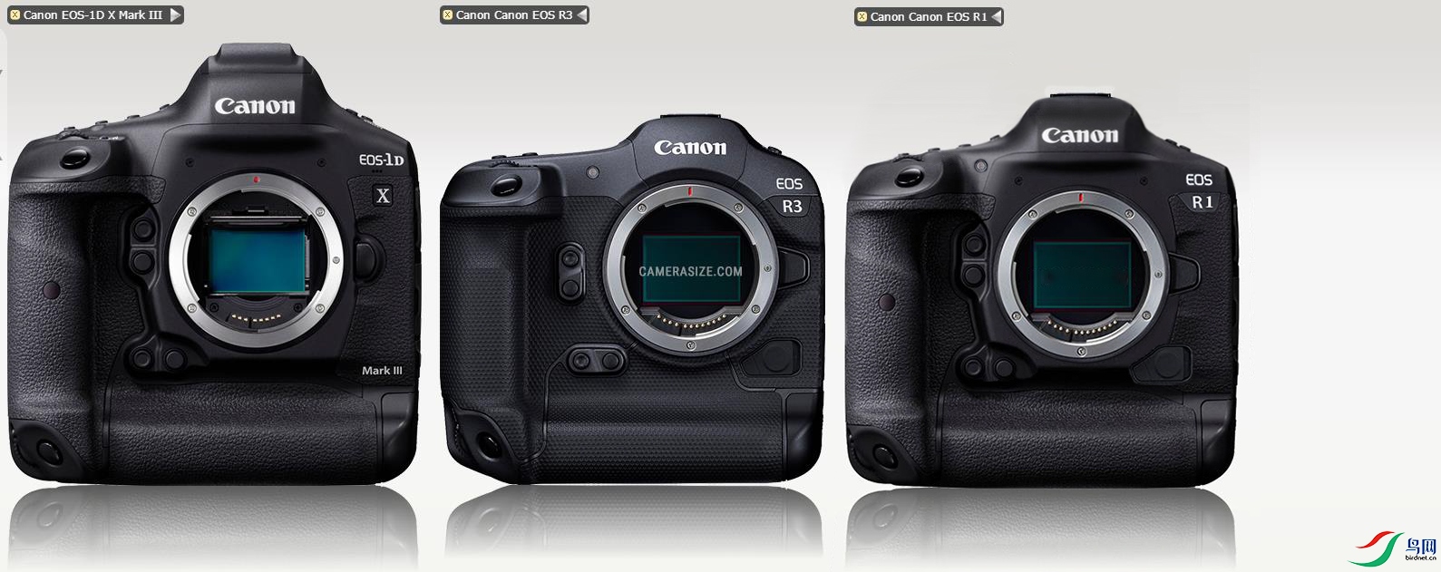 EOS R1������ͼ.jpg