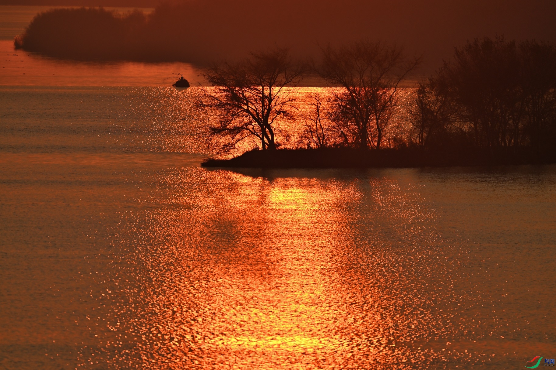 DSC_1845.JPG