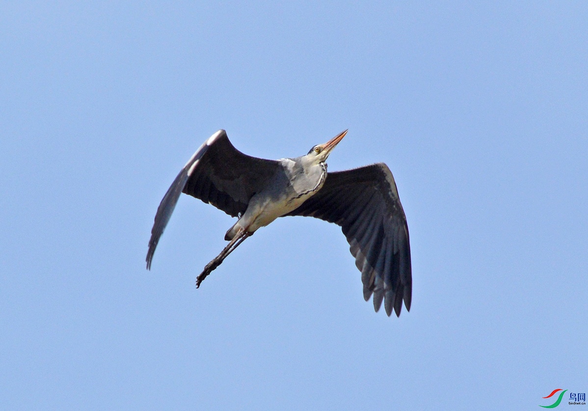 DSC_0101.jpg
