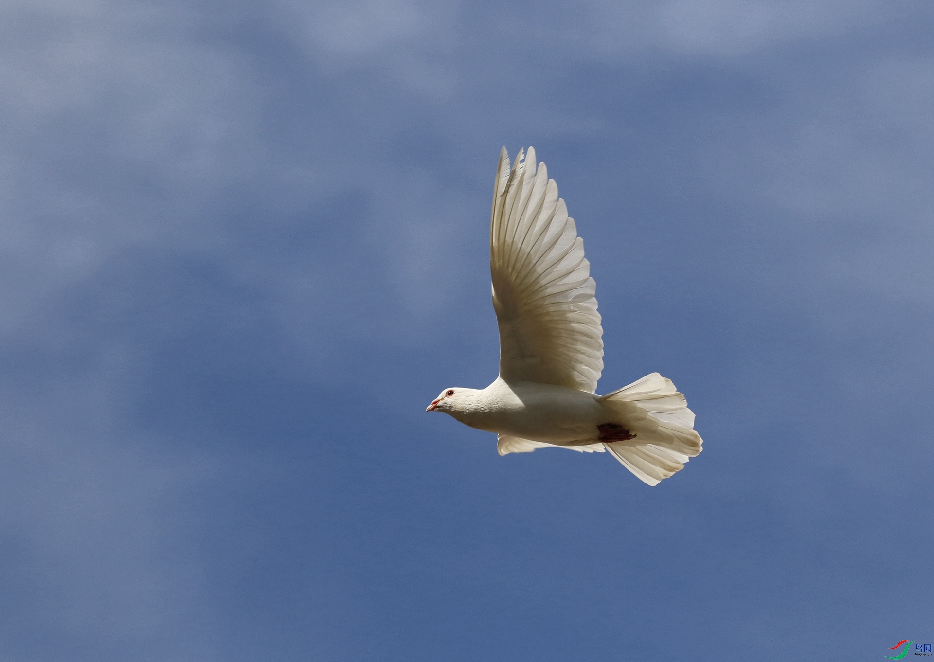 ����