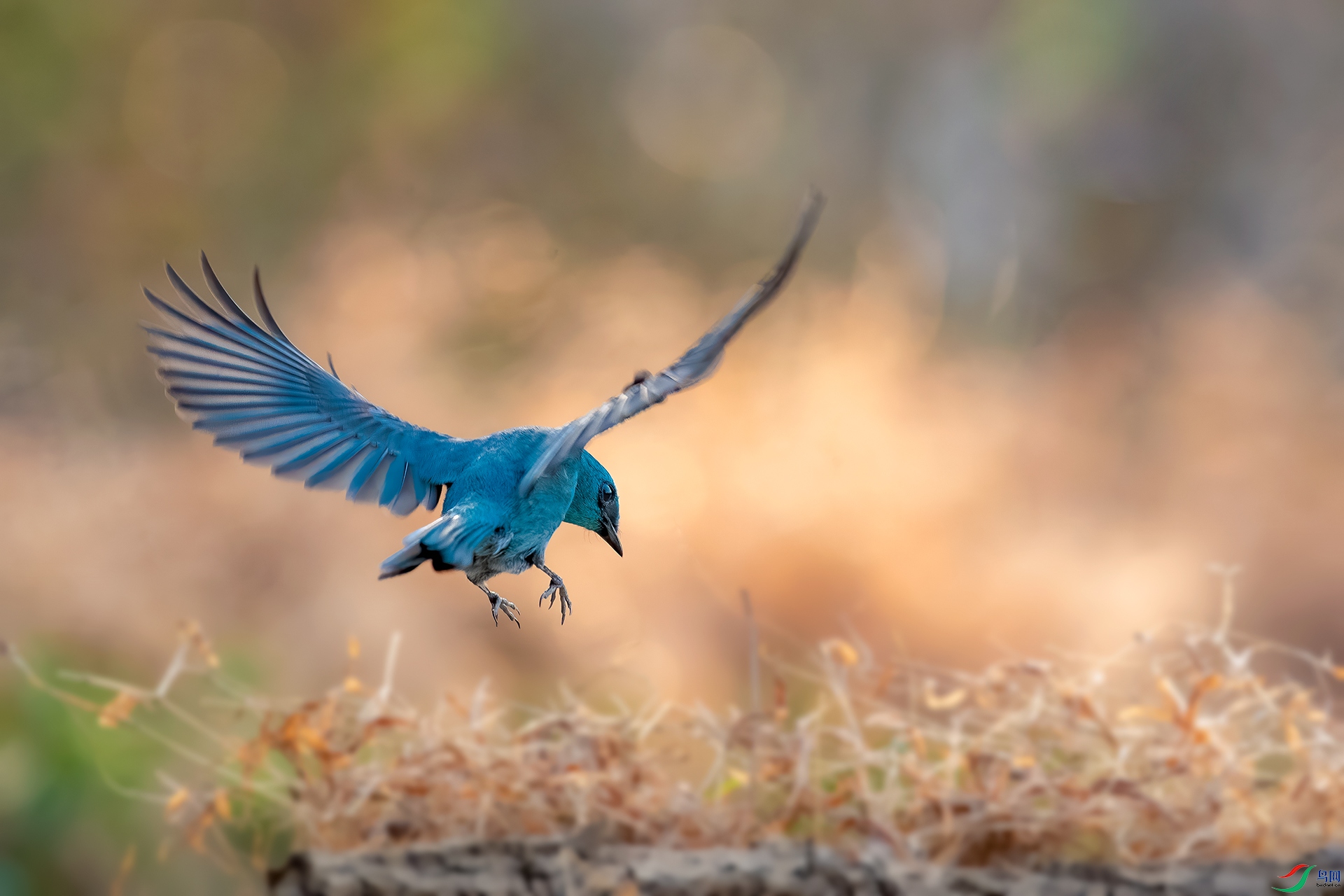 BE5I9359.jpg