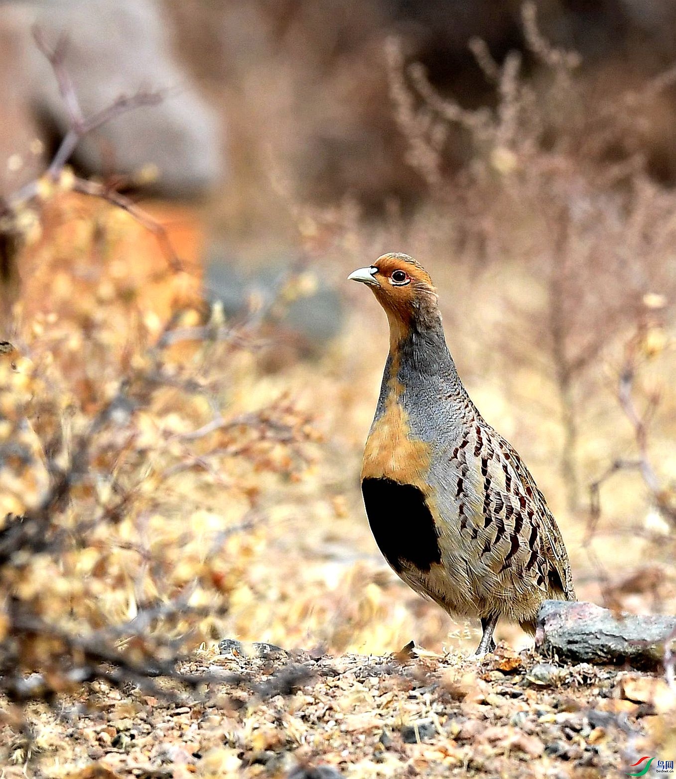 DSC_5468.JPG