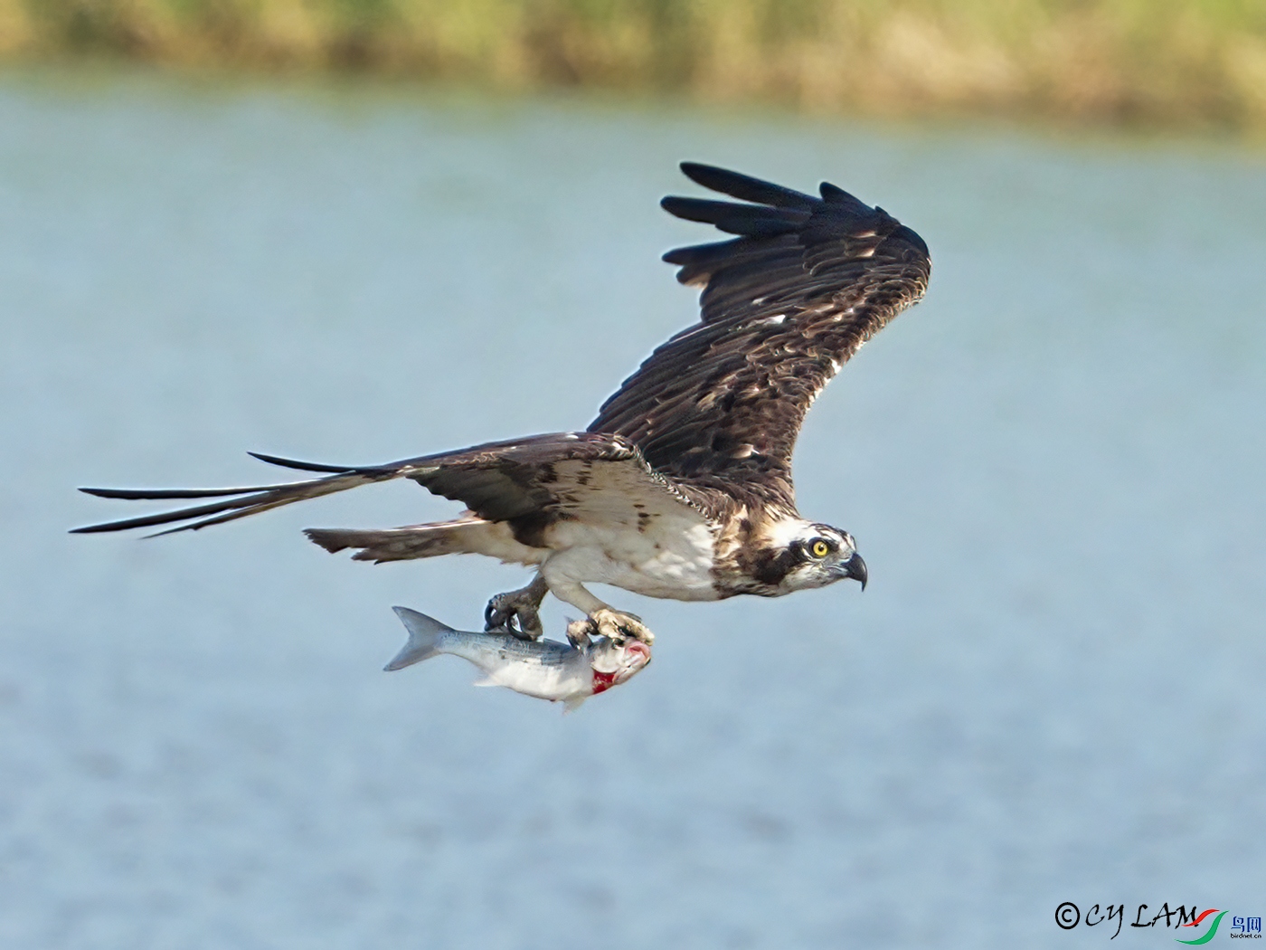 20221118-0012aa re.jpg