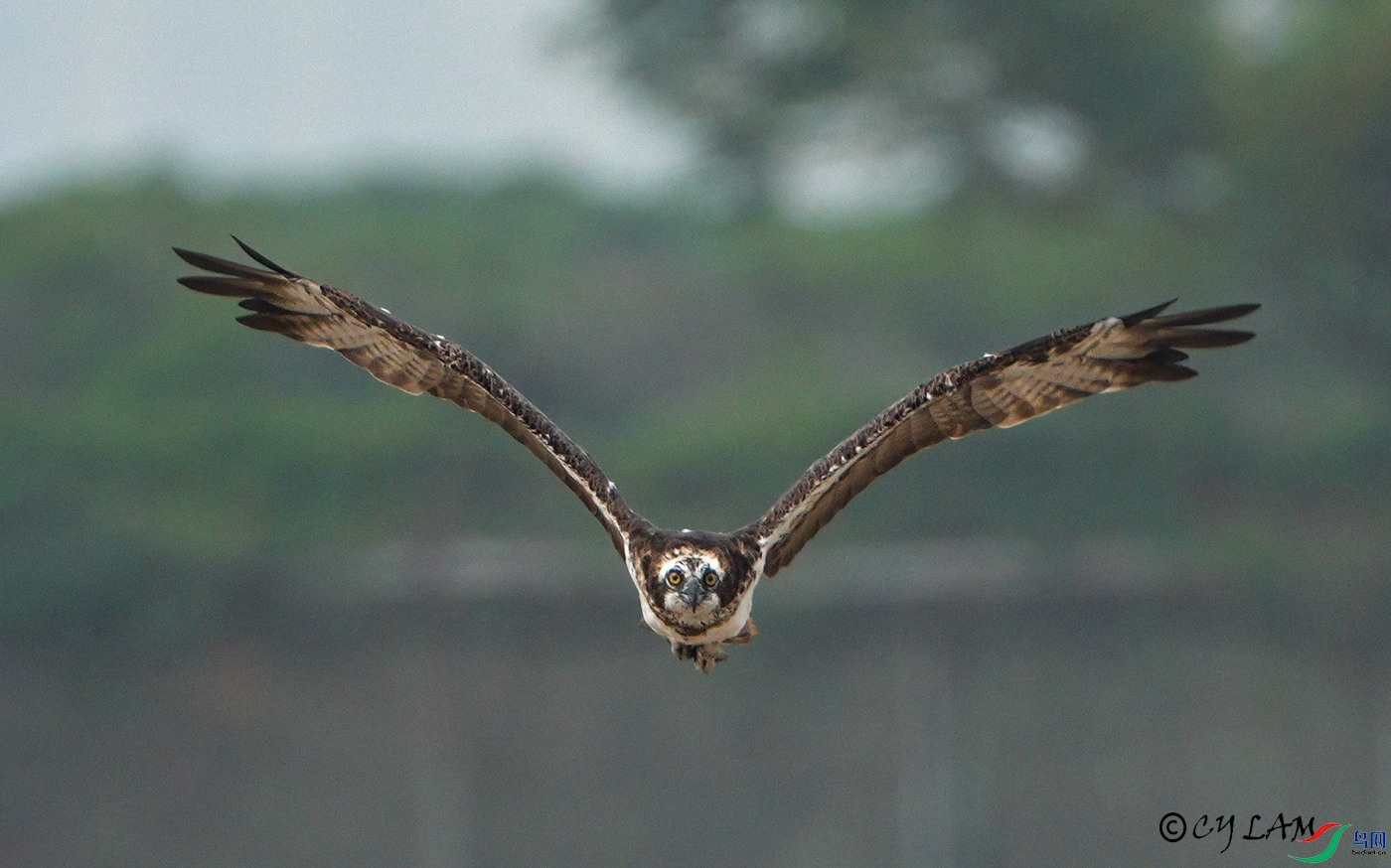 20221121-017ab rea.jpg