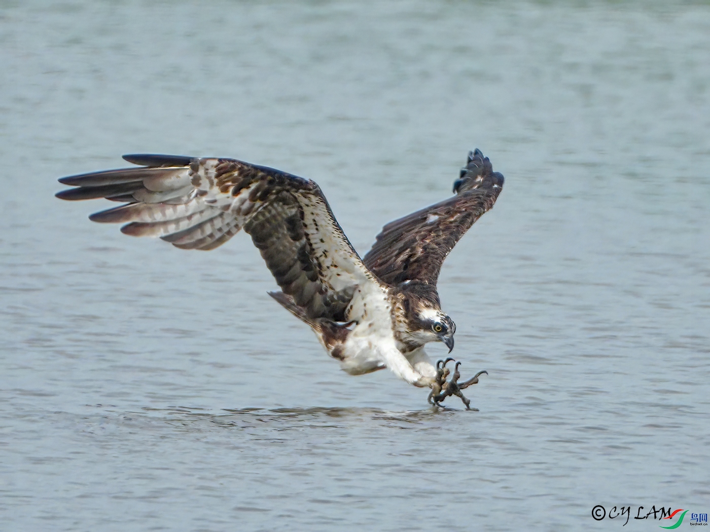 20221121-043a re.jpg