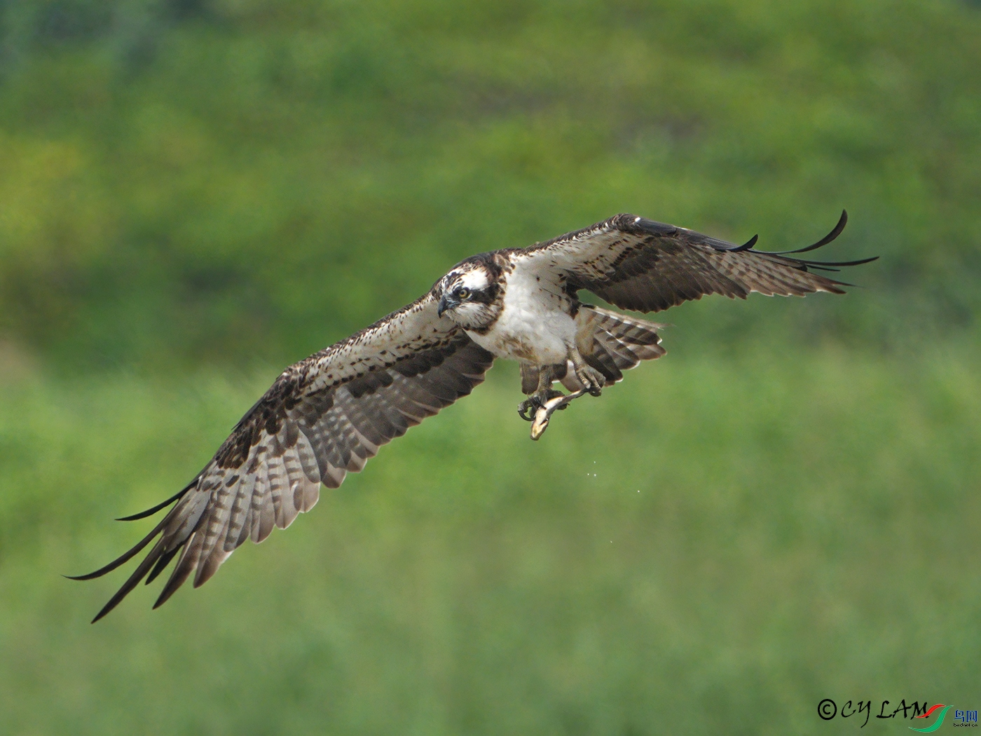 20221121-248a re.jpg