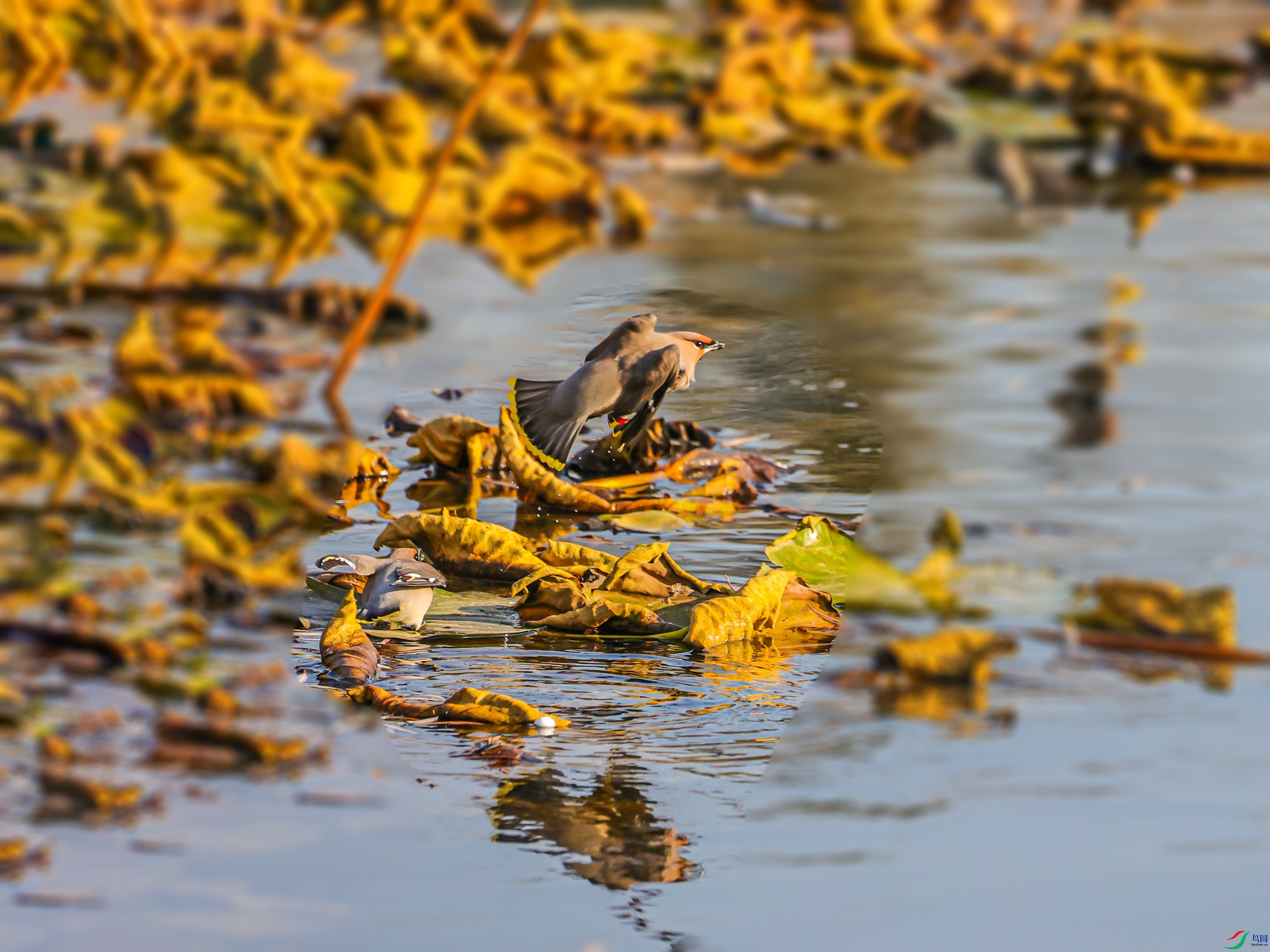 1K3A6754 ����1.jpg