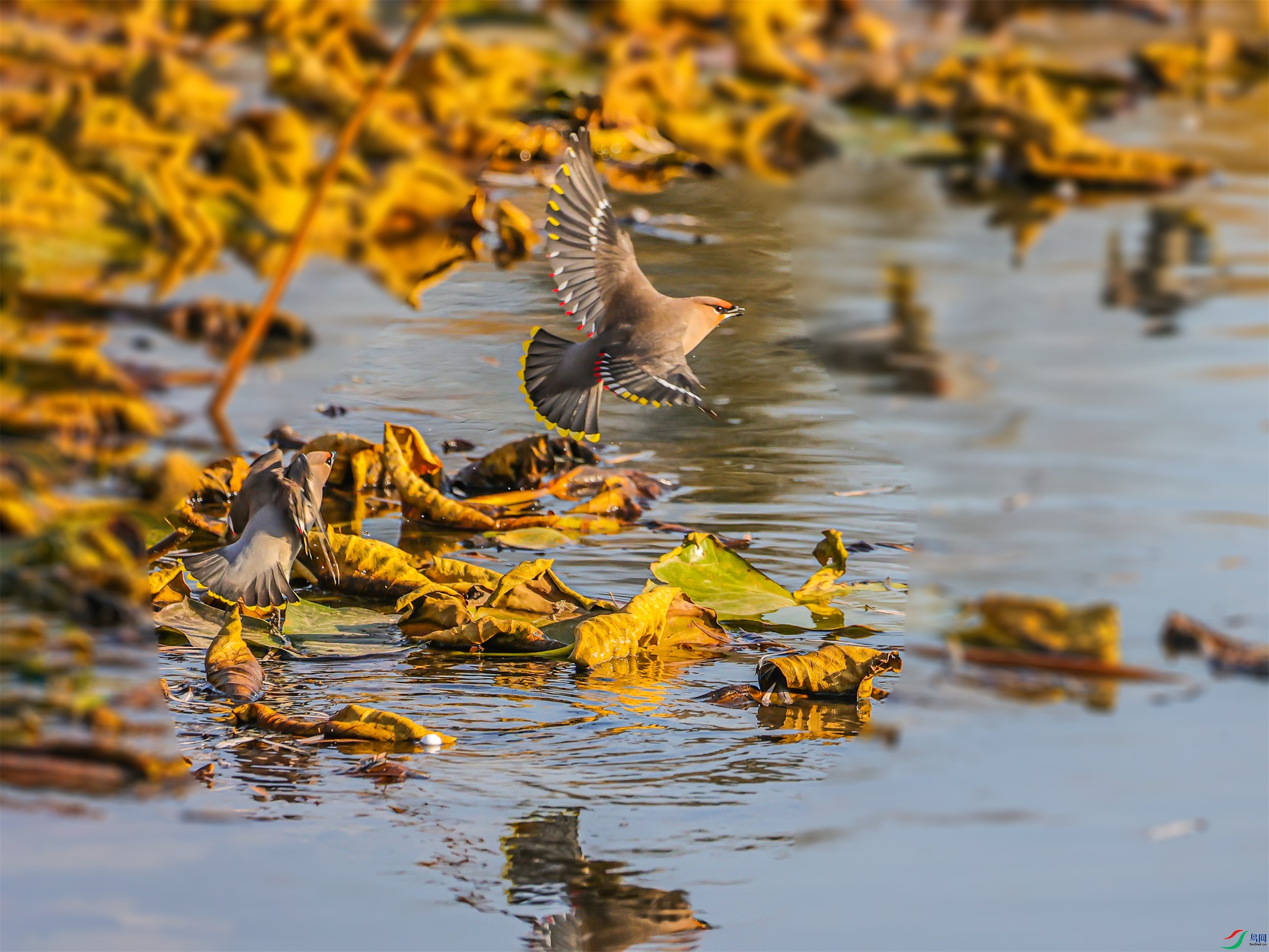 1K3A6755 ����1.jpg