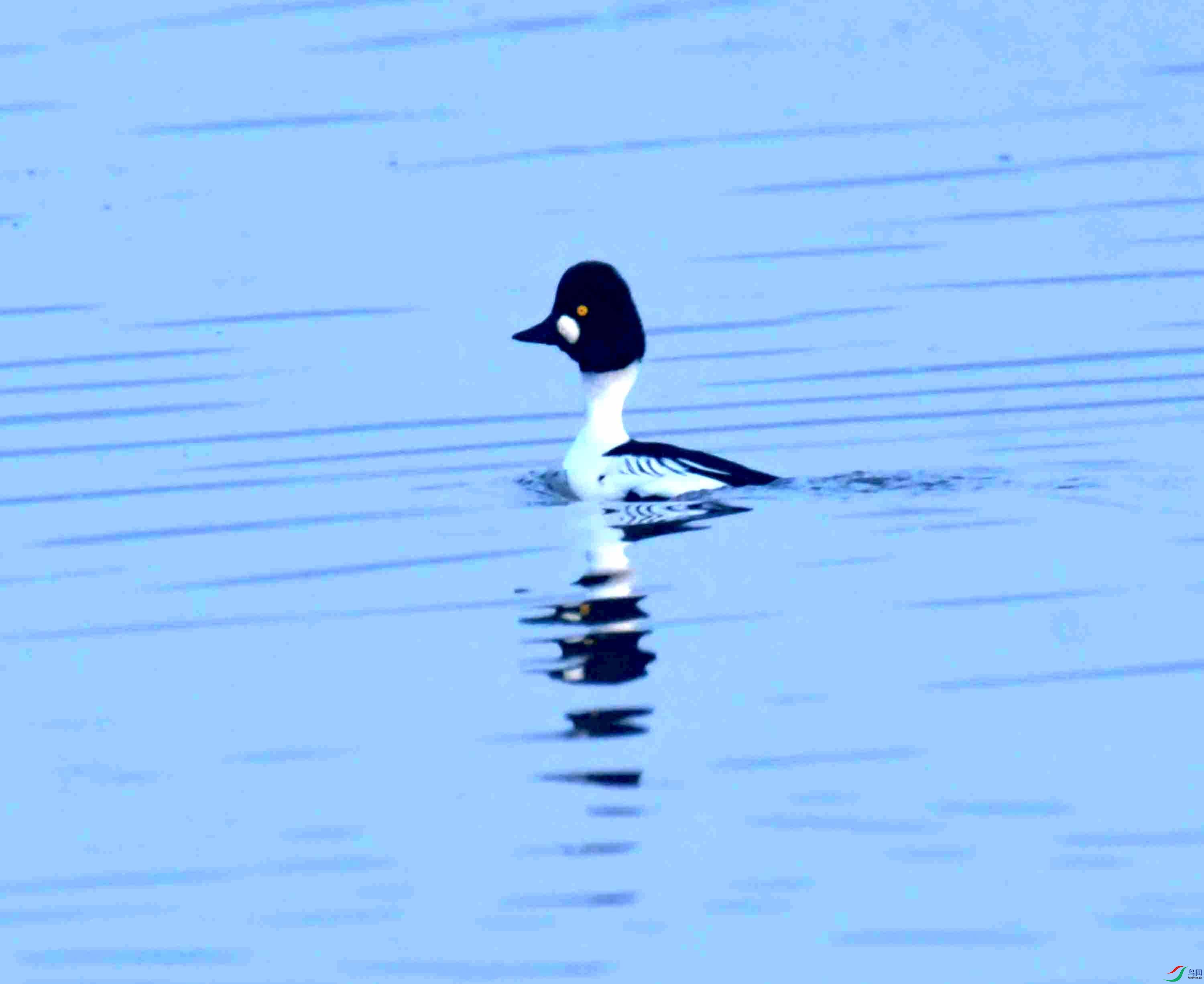 DSC_1231.JPG