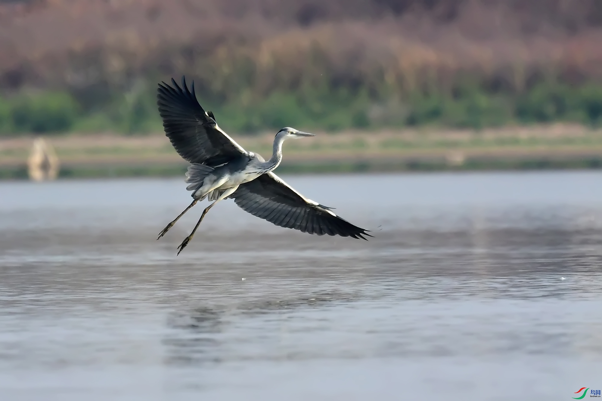 DSC_8373.jpg
