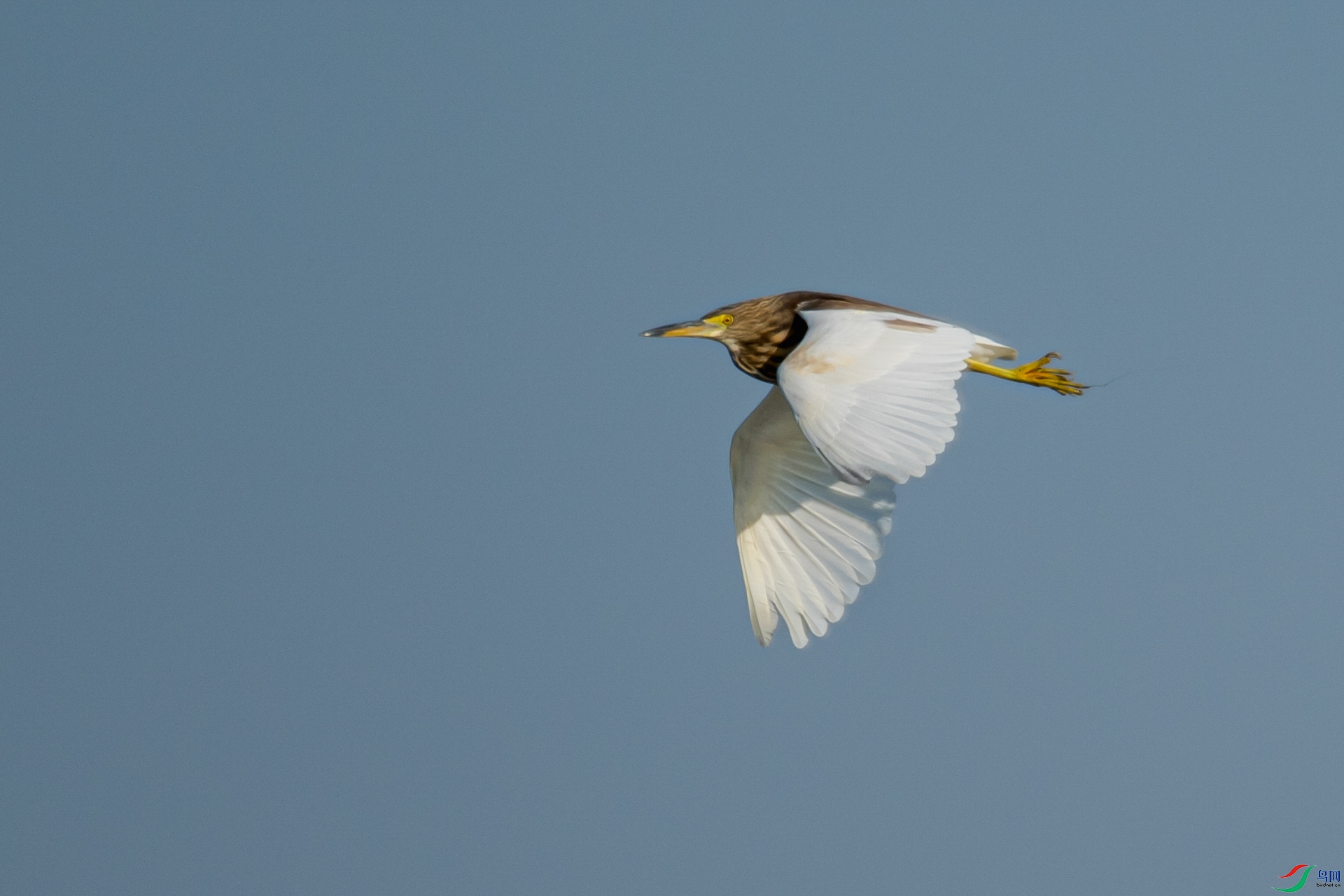 _DSC9648.jpg