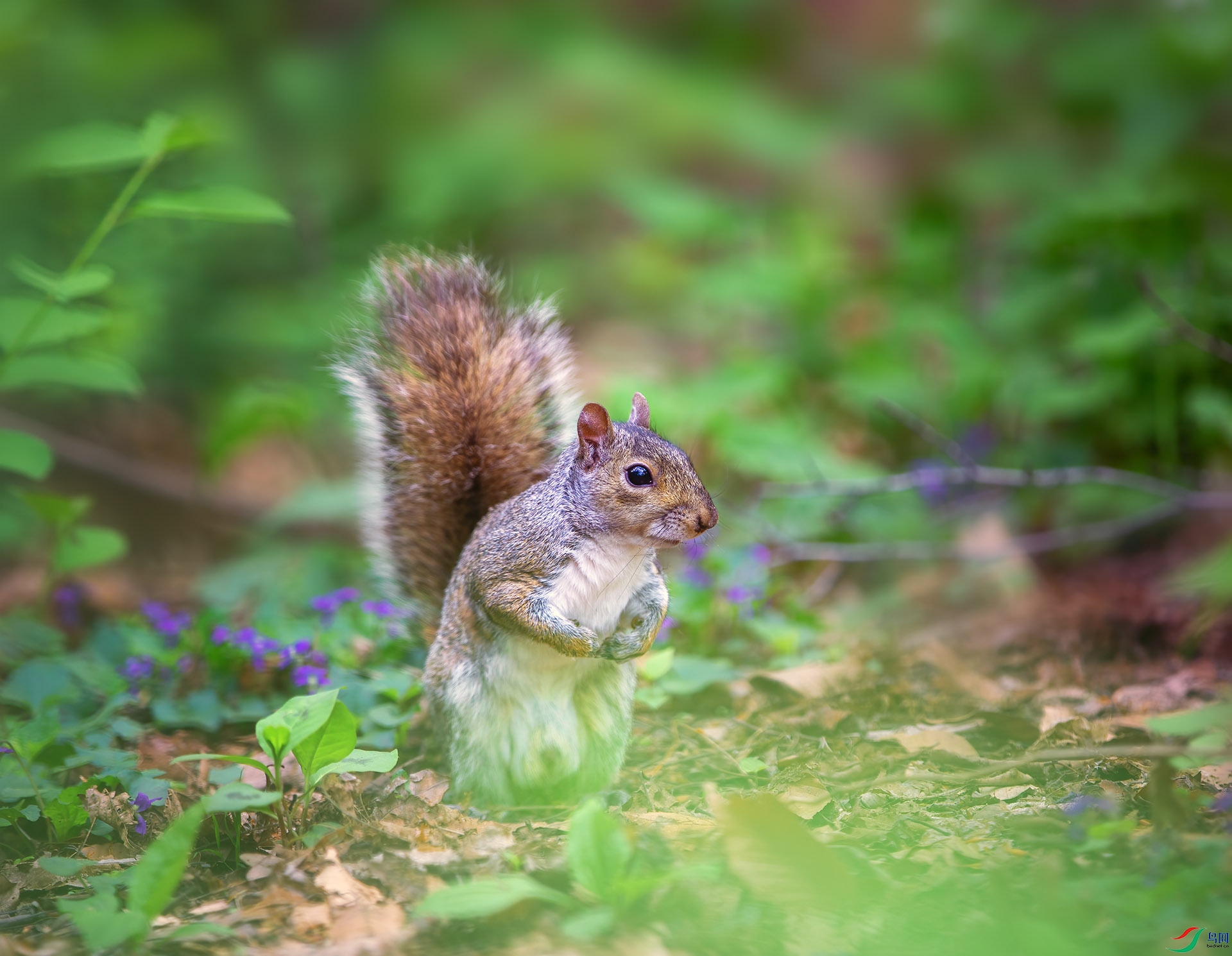 EF9A1367 ����.jpg