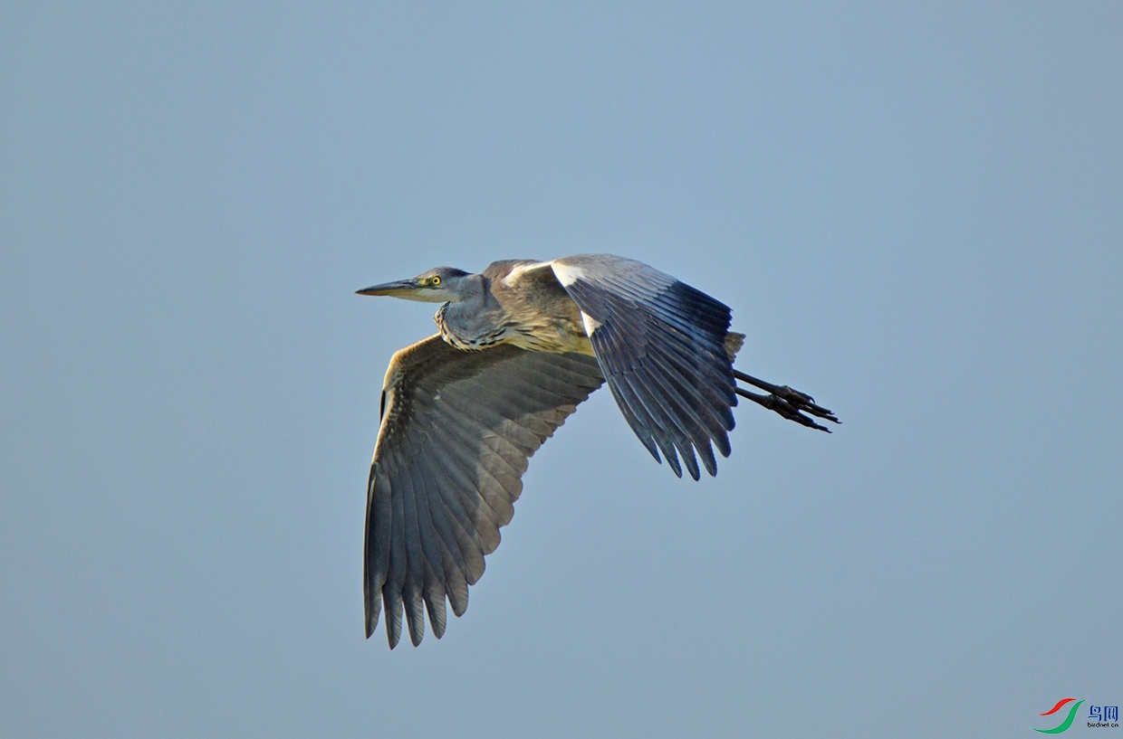DSC_02322.jpg