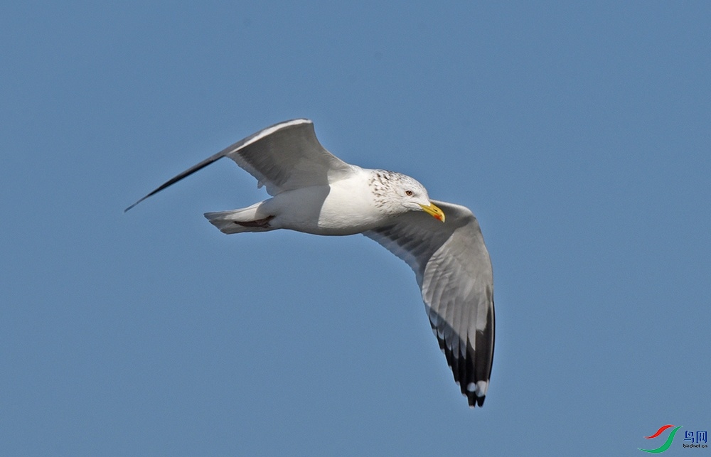 DSC_3279.jpg