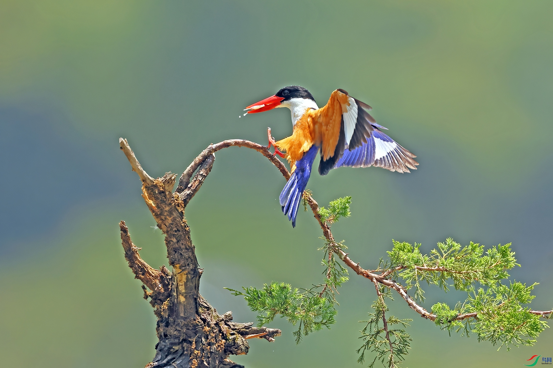 �����054-1.jpg
