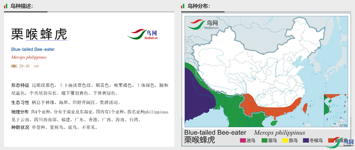 f19d1c97422af26627ab5a1384b0bf1.png