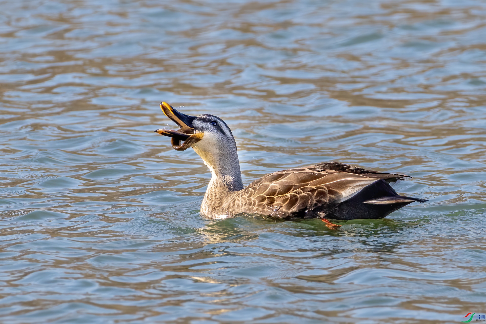 IMG_4400-1.jpg