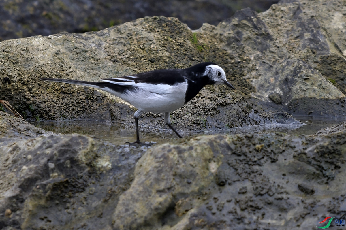 DSC_0814.JPG