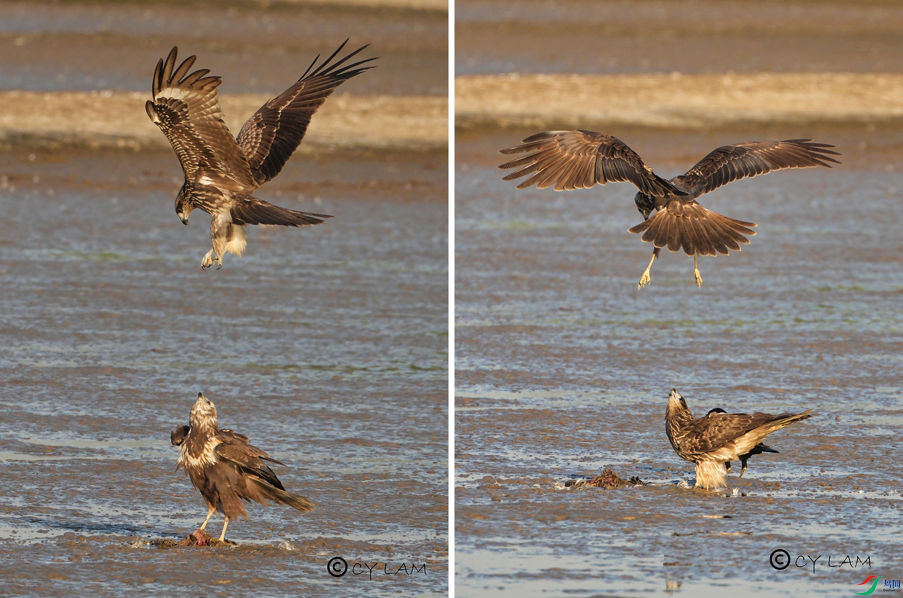 �|�����_ + ���S