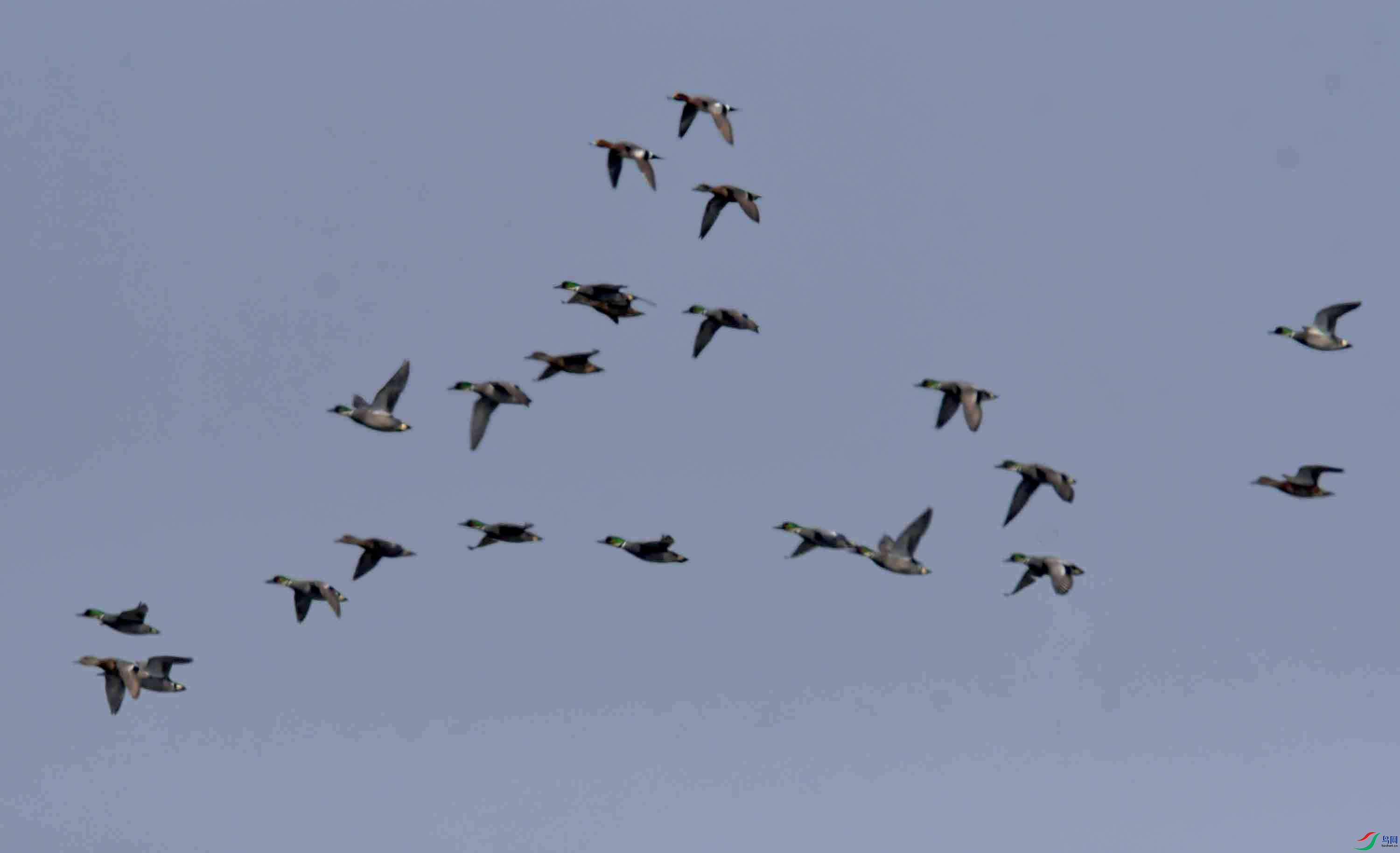 DSC_4056.JPG