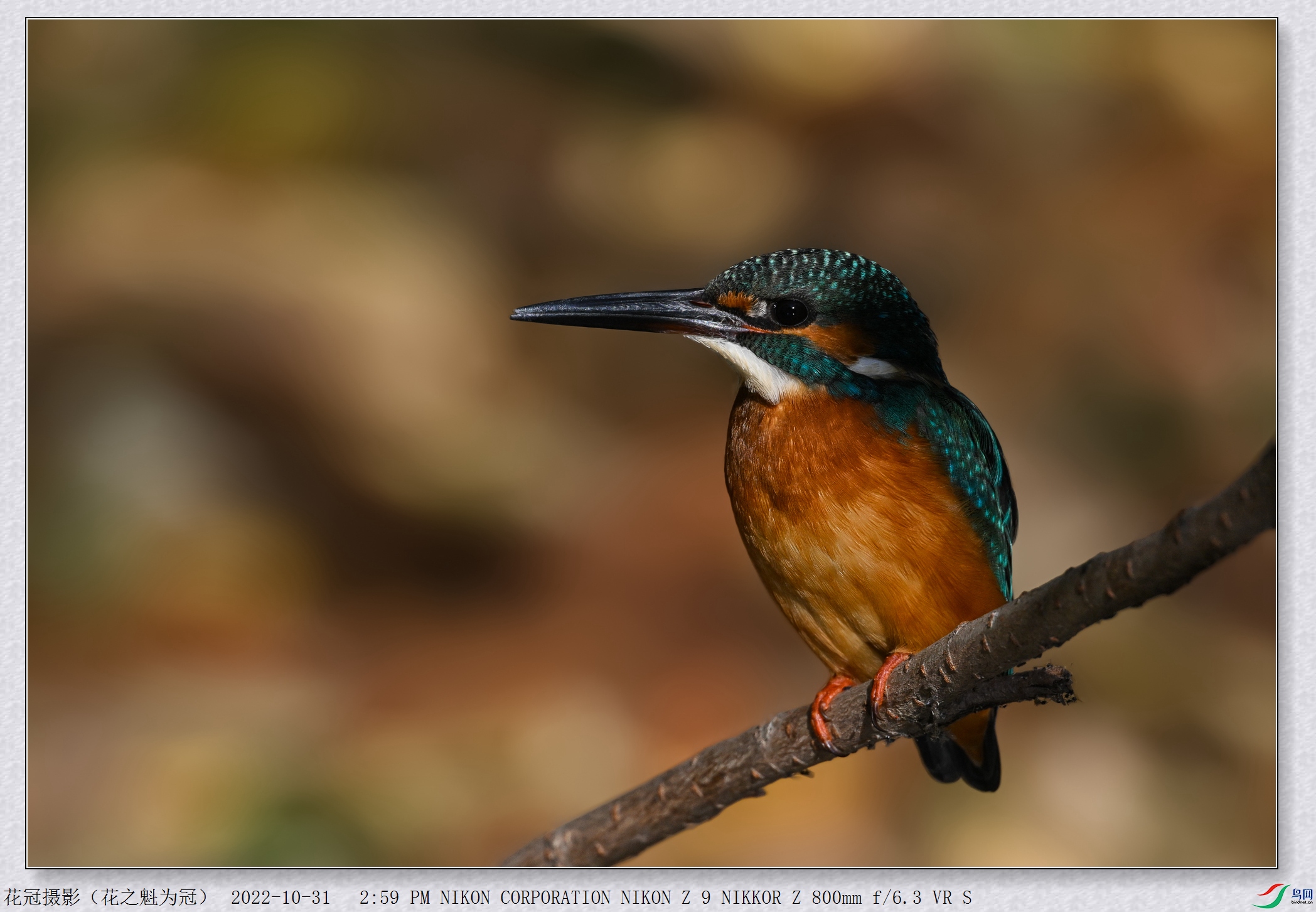 DSC_5749B-4_����.jpg